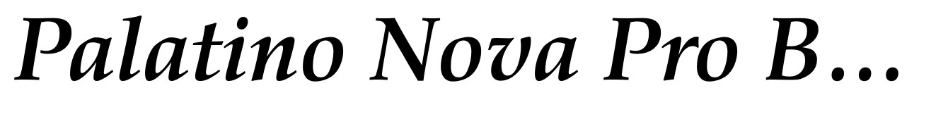 Palatino Nova Pro Bold Italic